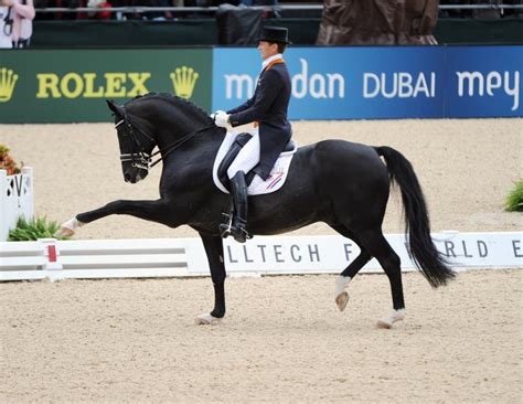 Dressage stallion Easy Game dies at the age of 20 .